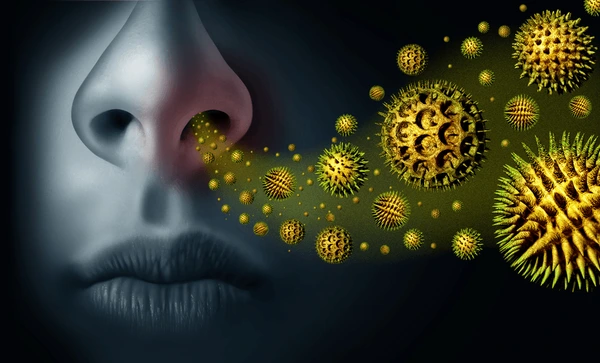 allergic rhinitis and homeopathy